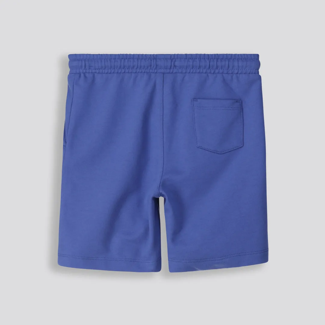 Boys Trackie Shorts _ 153342 _ Cobalt