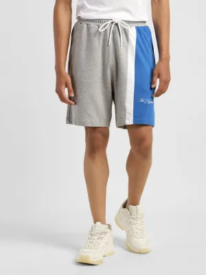 Men's Grey Regular Fit Shorts