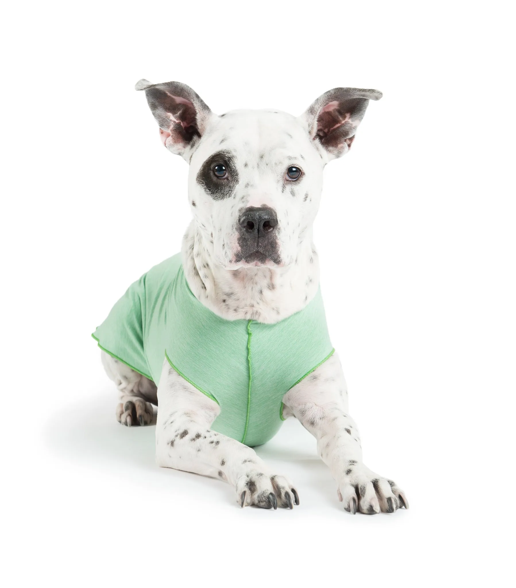 Sun Shield Tee shirts for Dogs and Cats, in Pistachio Heather